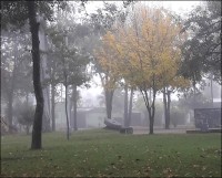 Maana con niebla