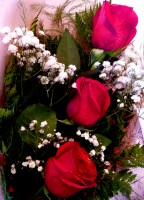 Tres rosas rojas.