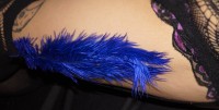La pluma azul