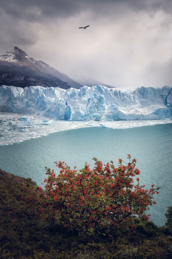 "Glaciar Perito Moreno" de Marcelo Minichelli