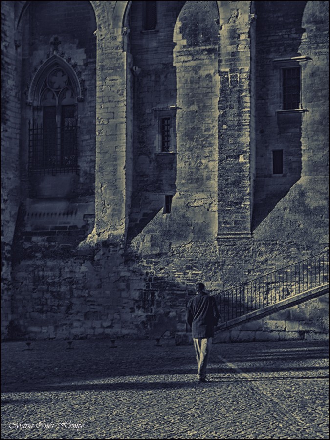 "Un solitario caminante..." de María Inés Hempe