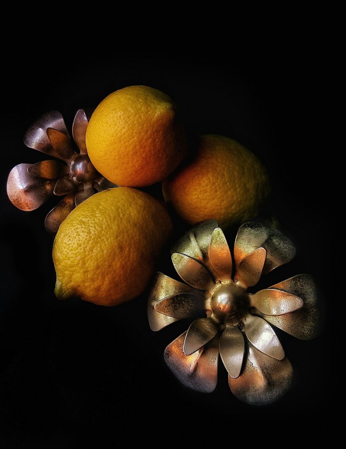 "Limones y flores de metal" de Roberto Guillermo Hagemann