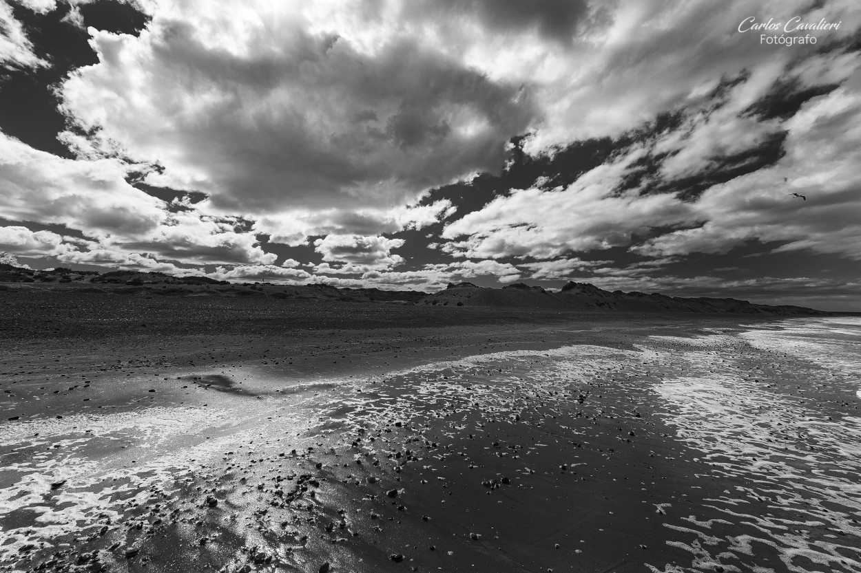 "Playa solitaria..." de Carlos Cavalieri