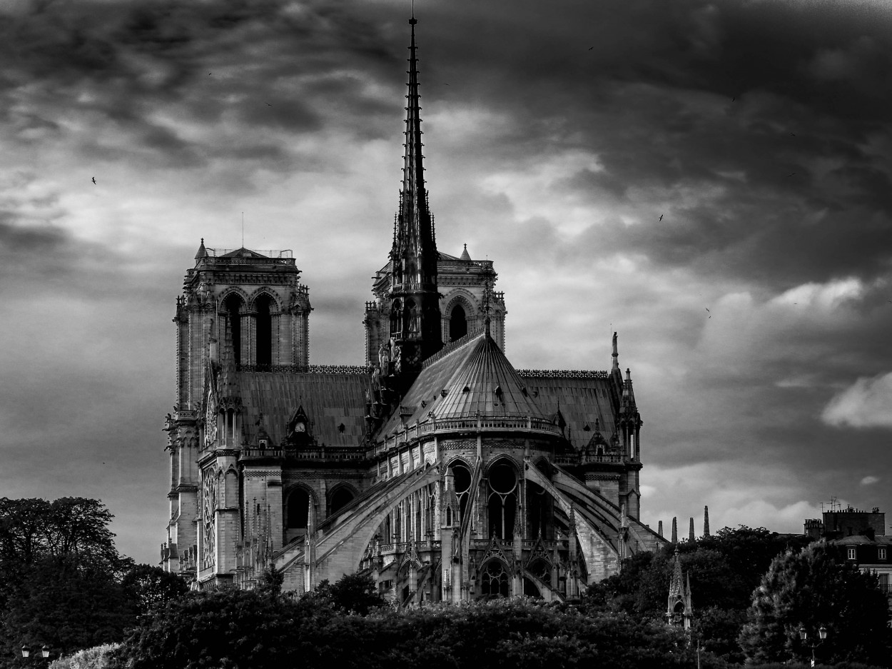 "Notre Dame" de Hctor Venezia
