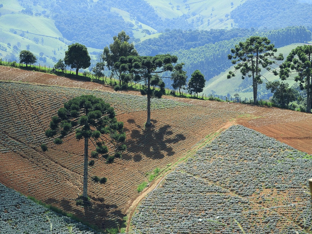 "Minas Gerais, suas terras e montanhas" de Decio Badari