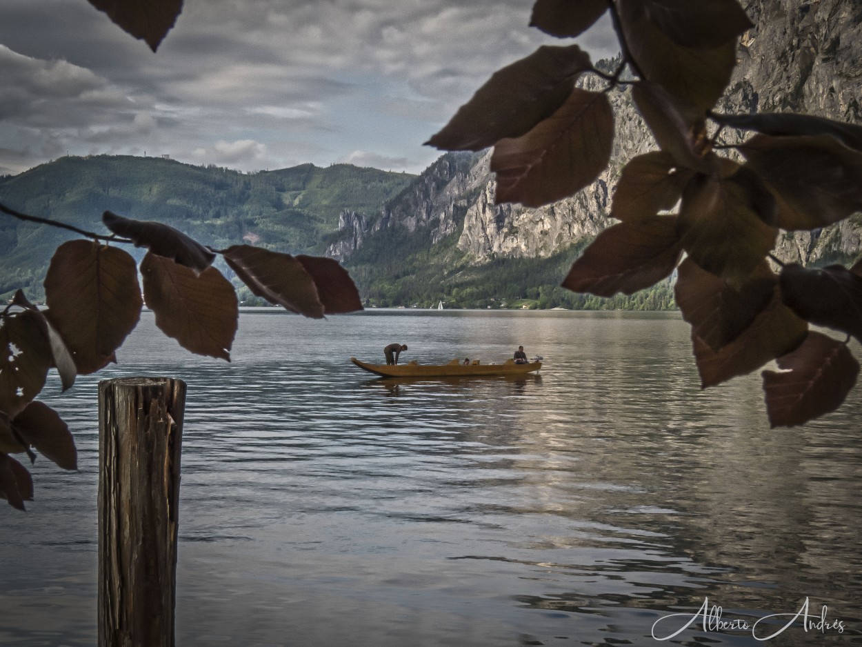 "El pescador entre hojas" de Alberto Andrs Melo