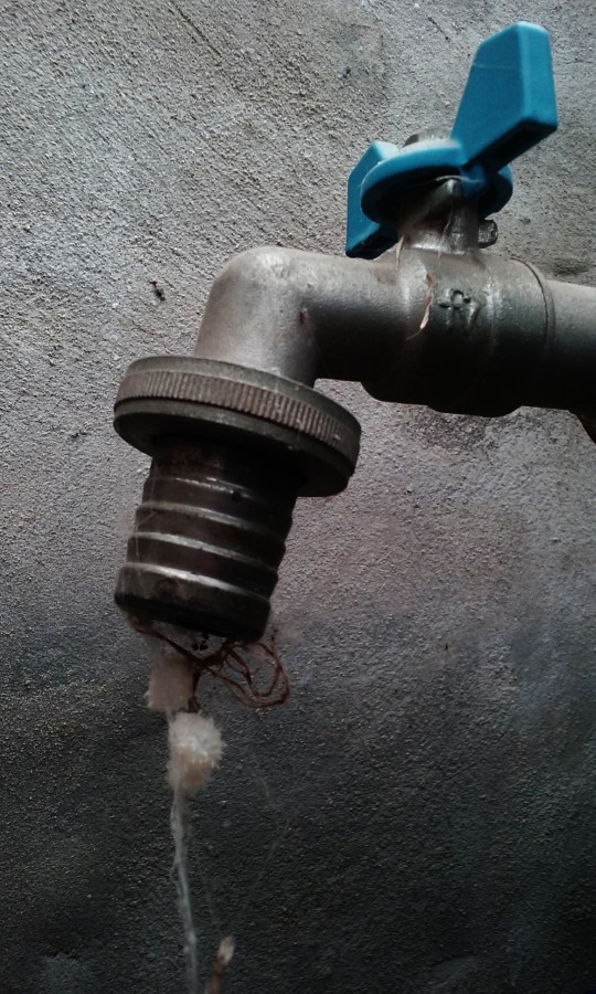 "red" de Leonardo Bertolino