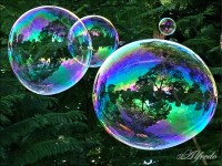 Burbujas(del que tanto se habla)