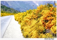Rutas de Bariloche