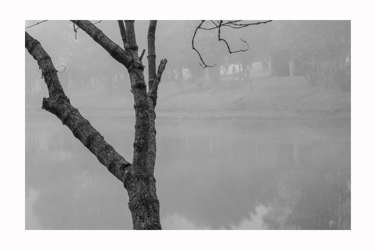 "Niebla 2" de Edwin Ral Roa Cediel