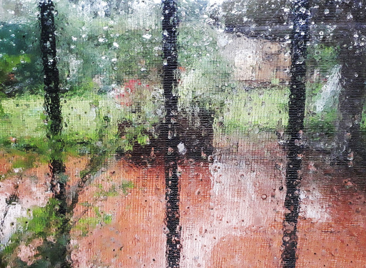 "Tarde de lluvia" de Mercedes Pasini