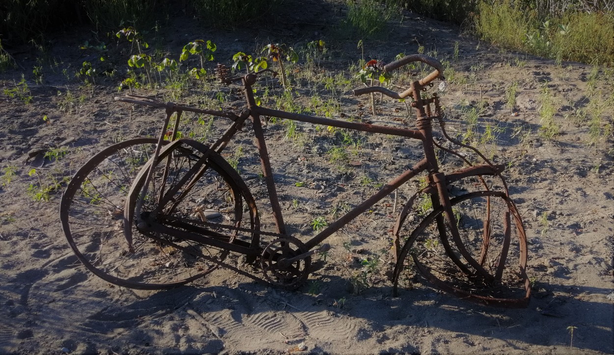"A bicicleta..." de Maria Cristina de Castilho Brda
