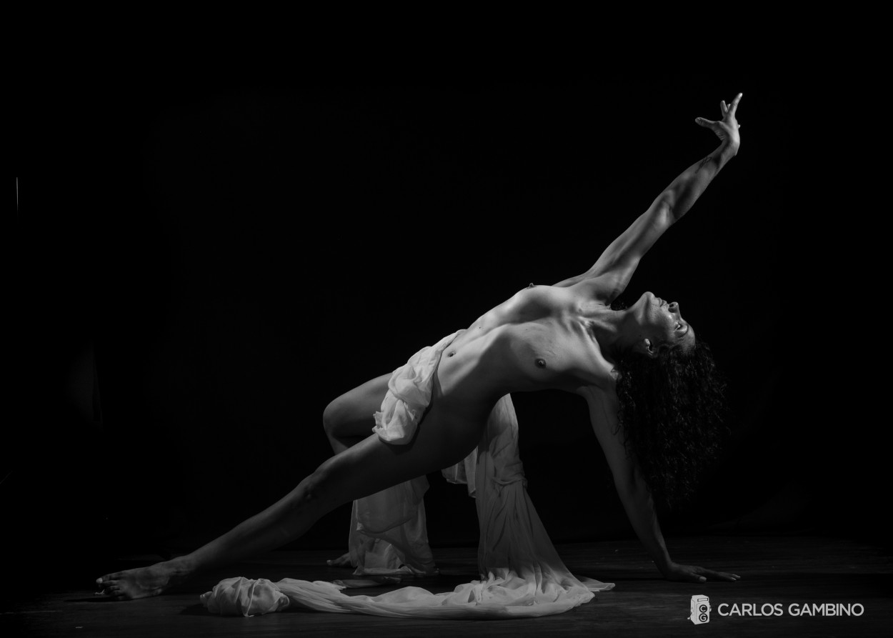 "danza" de Carlos Rafael Gambino