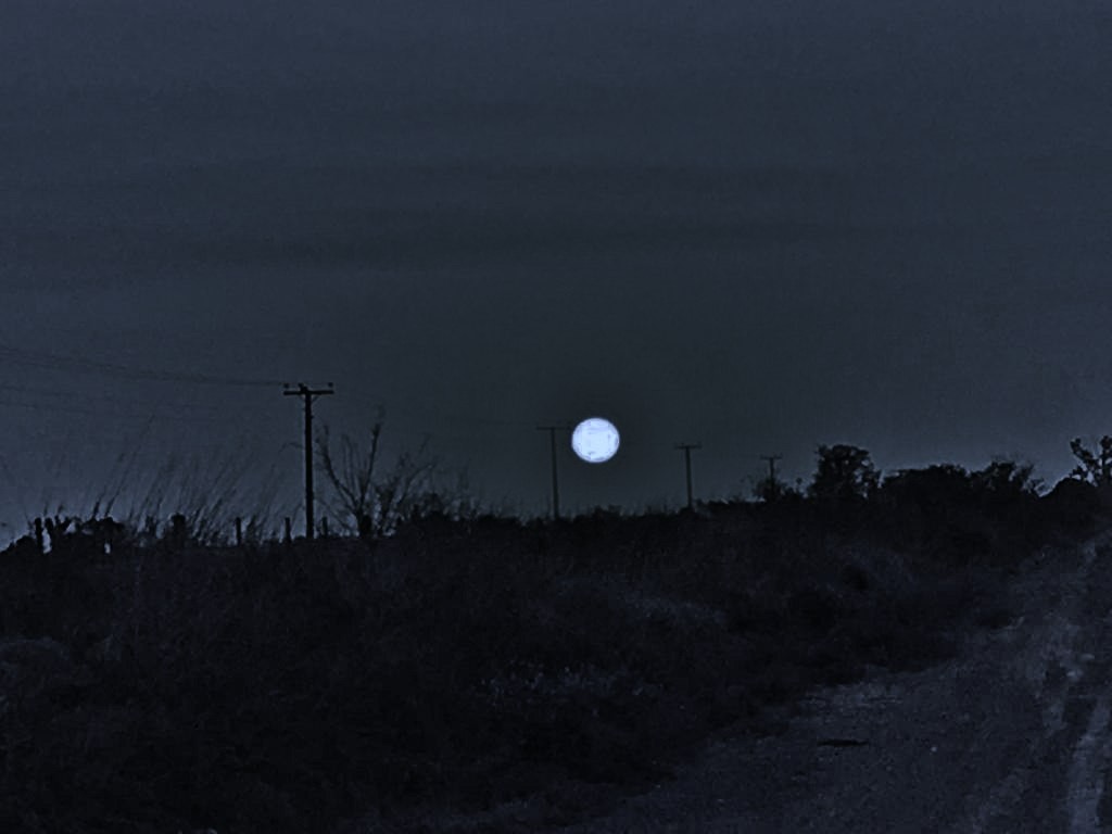 "Noche (s, en aqul camino)" de Leonardo Bertolino