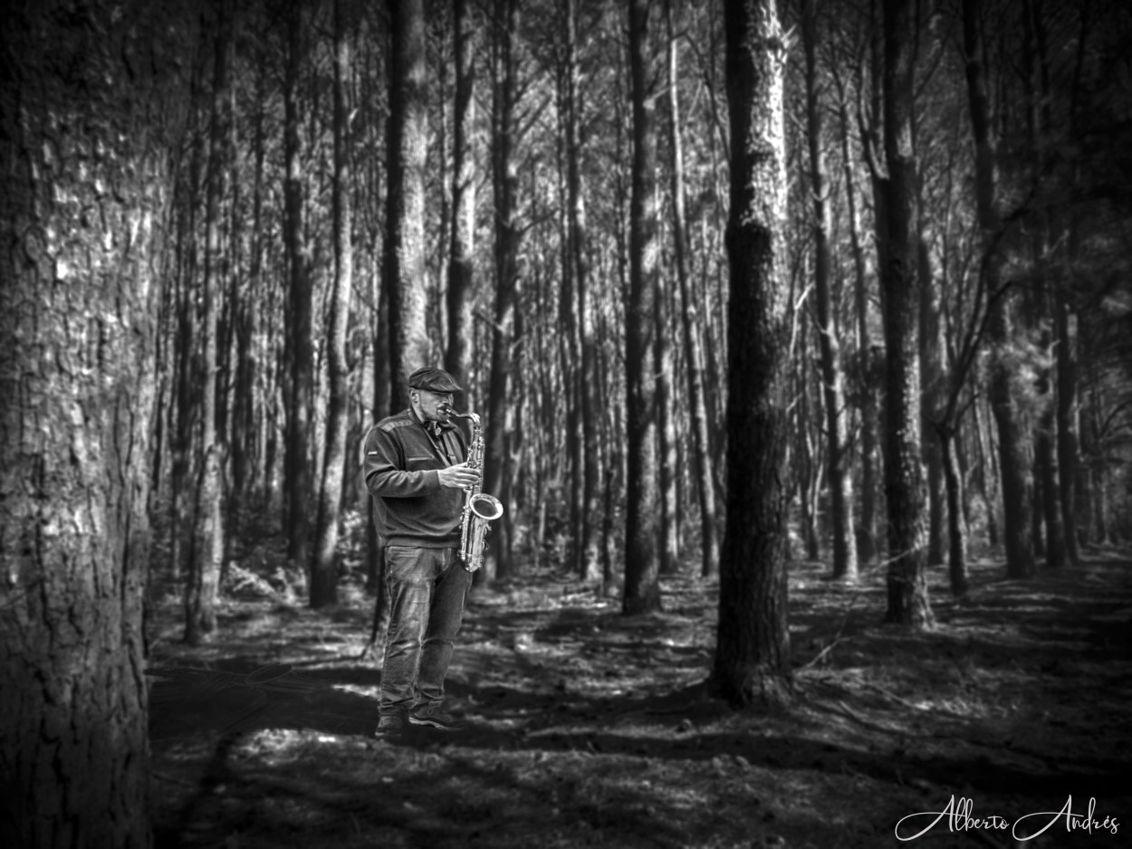 "Los sonidos del bosque" de Alberto Andrs Melo