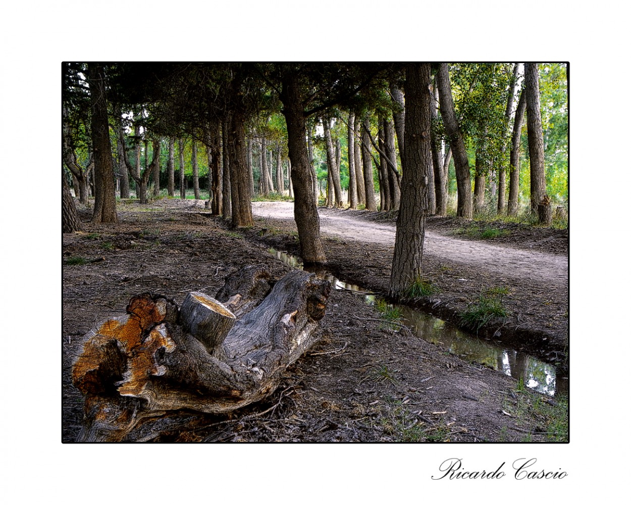 "En el parque" de Ricardo Cascio