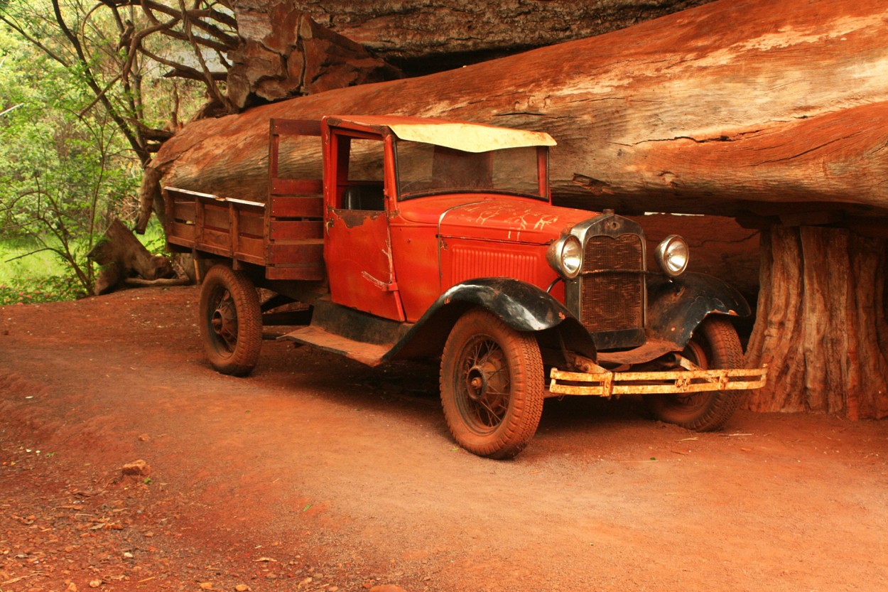 "1930" de Julio Fontana