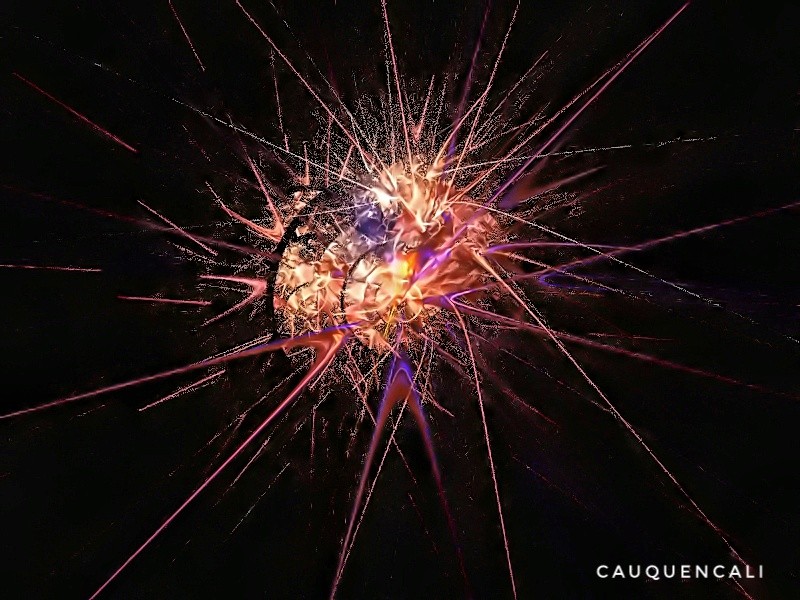 "Molusco csmico" de Carlos Gustavo Ayliffe