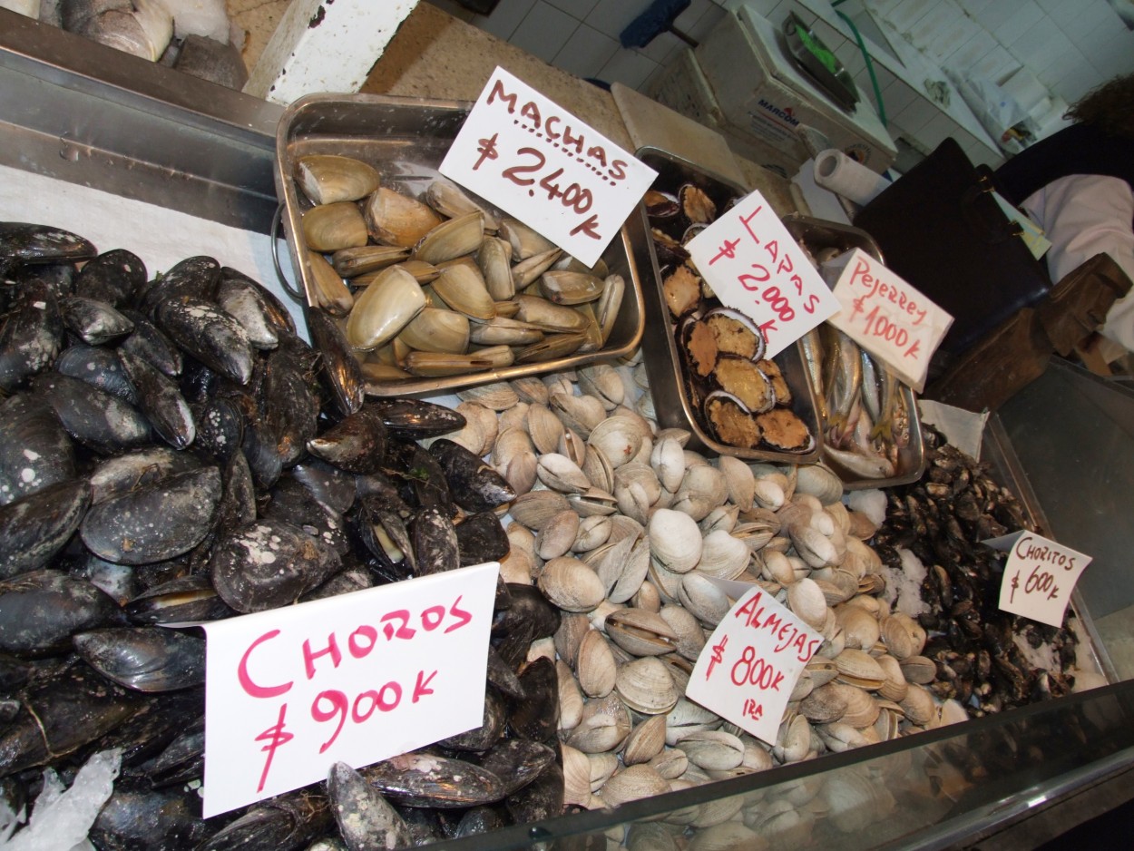 "As delicias do oceano Pacfico no Chile" de Decio Badari