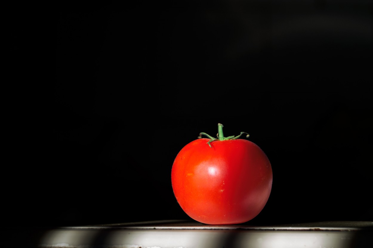 "Tomate" de Francisco Jos Cerd Ortiz