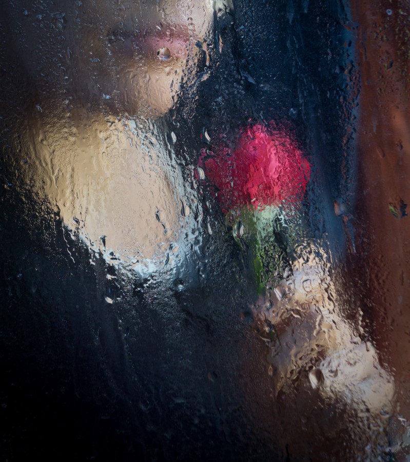 "Perfume a rosa" de Lorna Aguirre