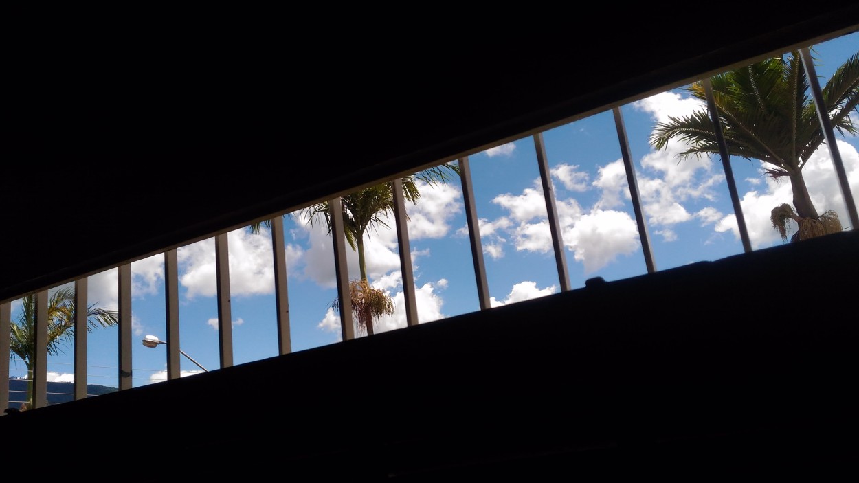 "Uma diagonal da janela de meu estdio" de Decio Badari