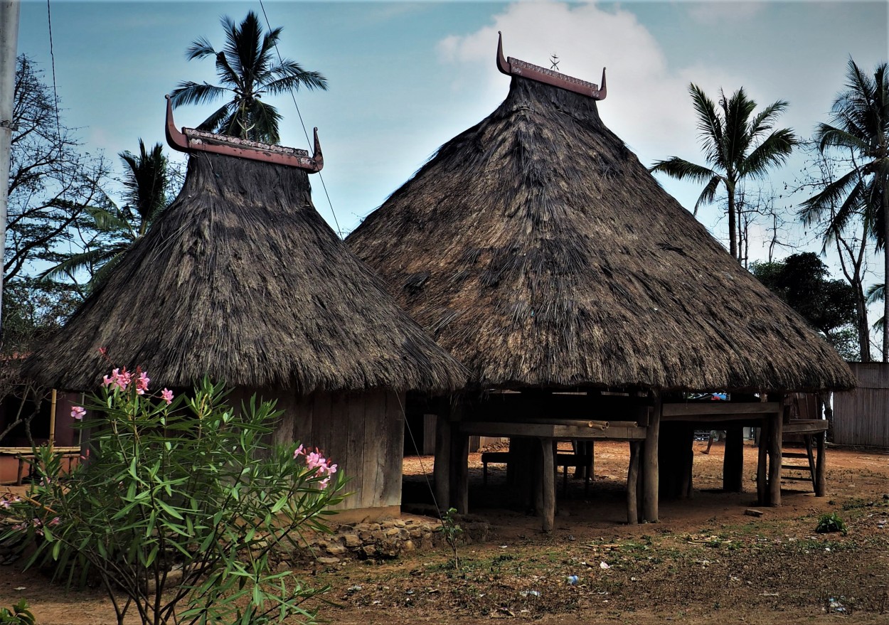 "Casa sagrada de Timor Lorosa`e" de Maria Cristina de Castilho Brda