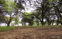 Parque Los Algarrobos