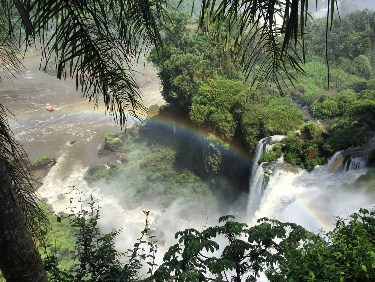 "Cataratas del Iguaz" de Ariana Scherich