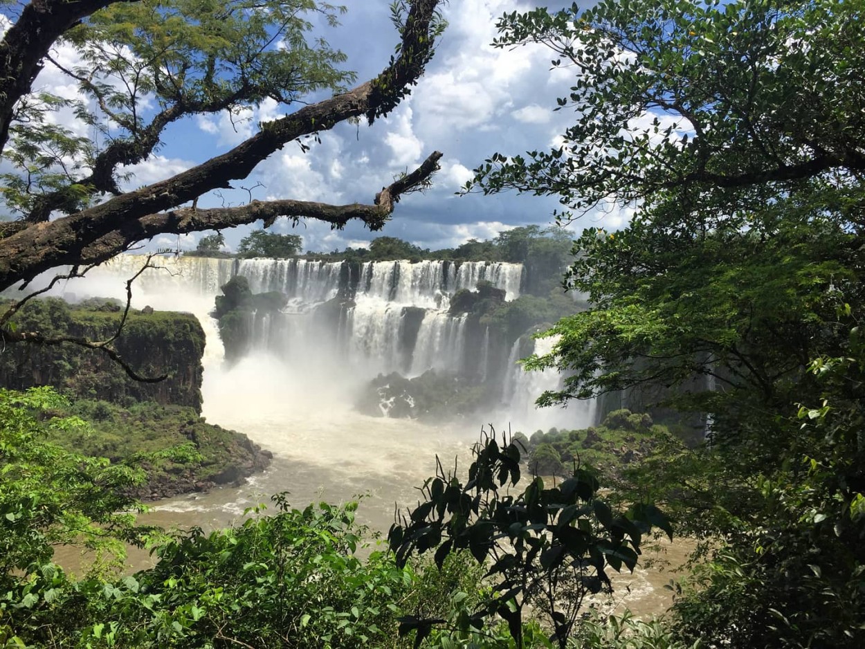"Cataratas del Iguaz" de Ariana Scherich