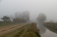 Camino a la niebla