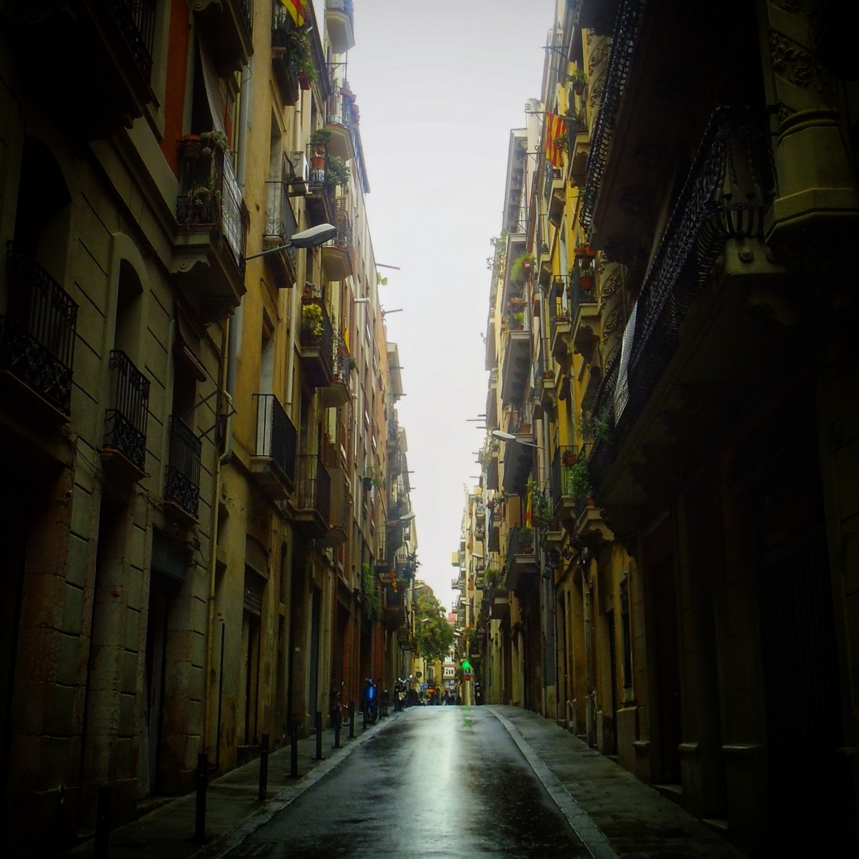 "Hmeda calle de Barcelona" de Candelaria Hein