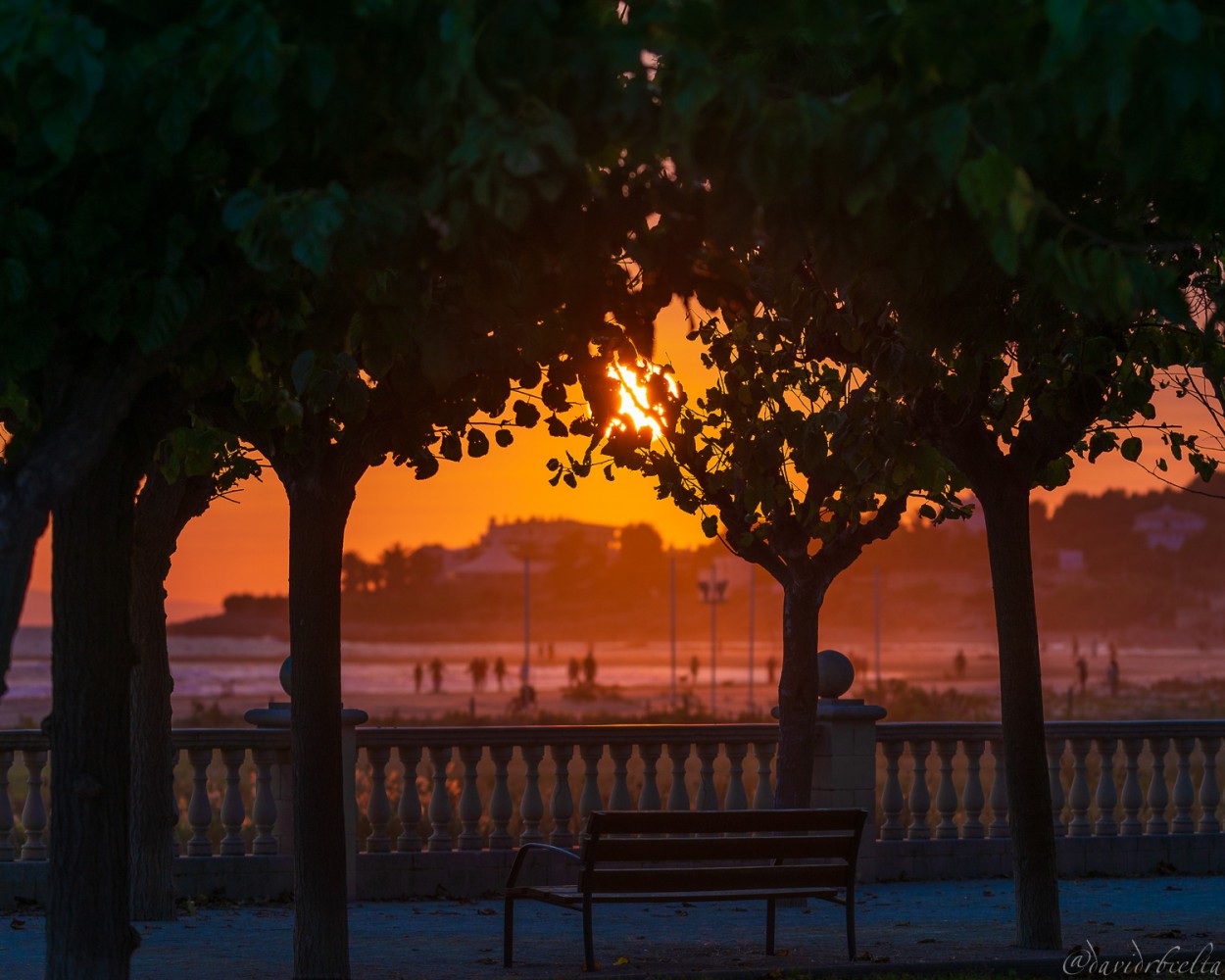 "the sunset bench" de David Roldn