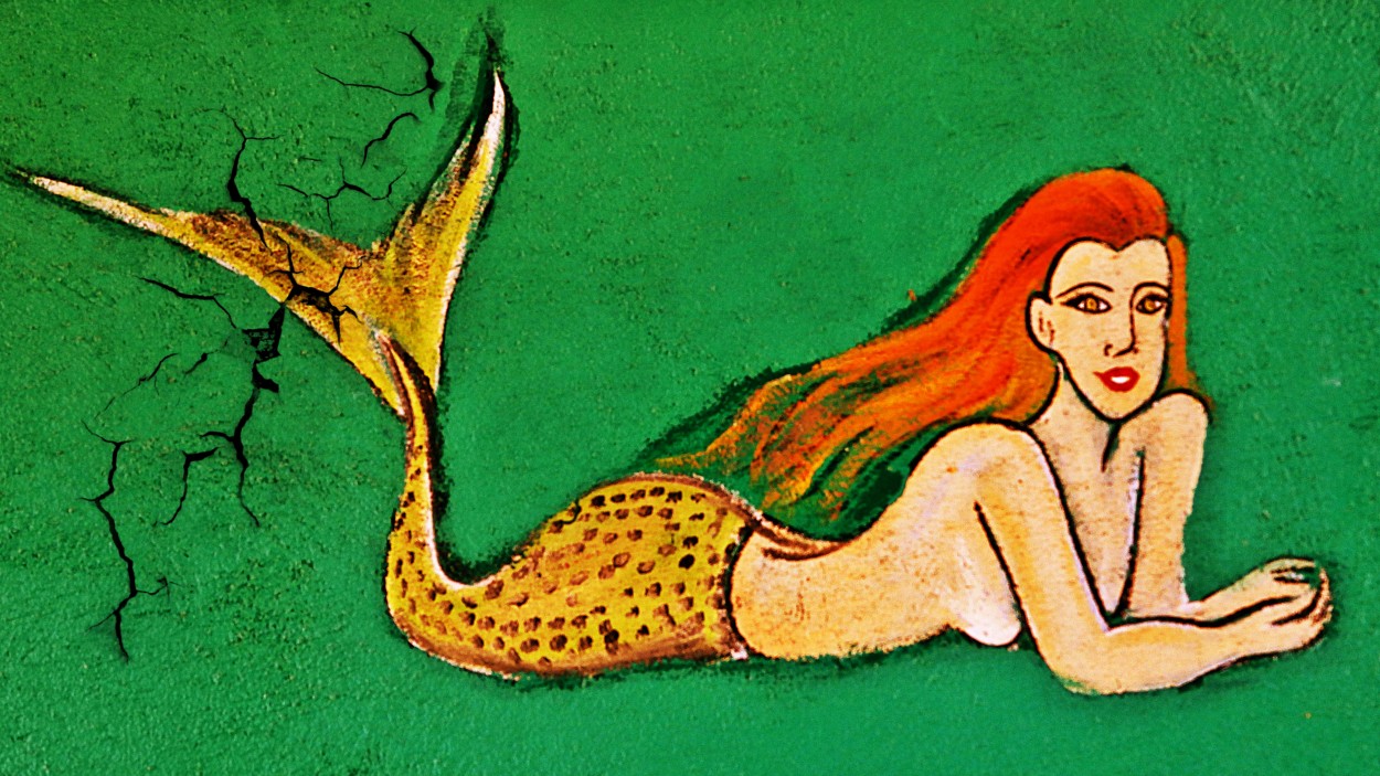 "Sirena" de Miguel ngel Nava Venegas ( Mike Navolta)