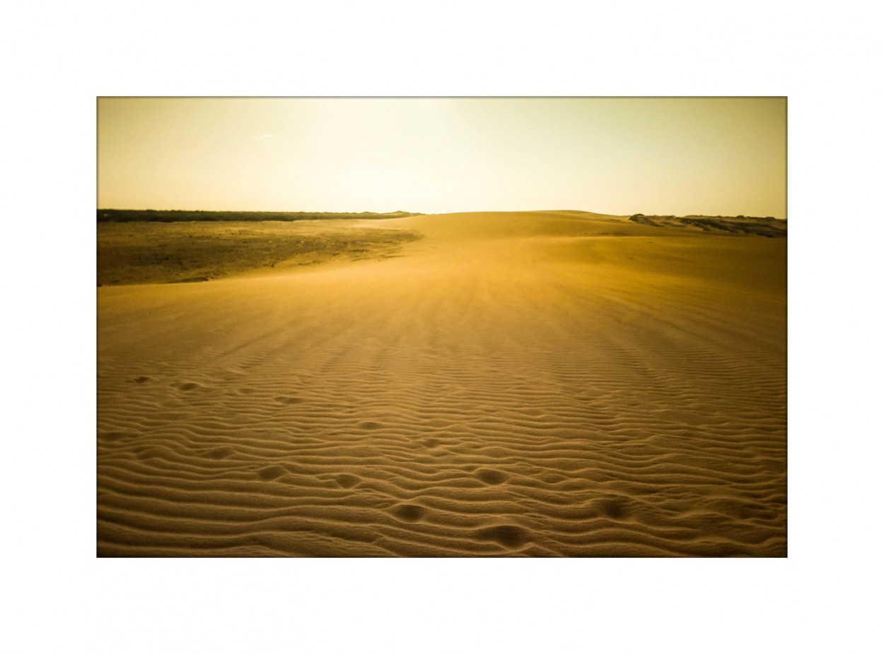 "El desierto de la Guajira" de Laura Nardo