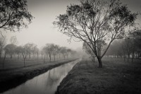 El canal y la niebla