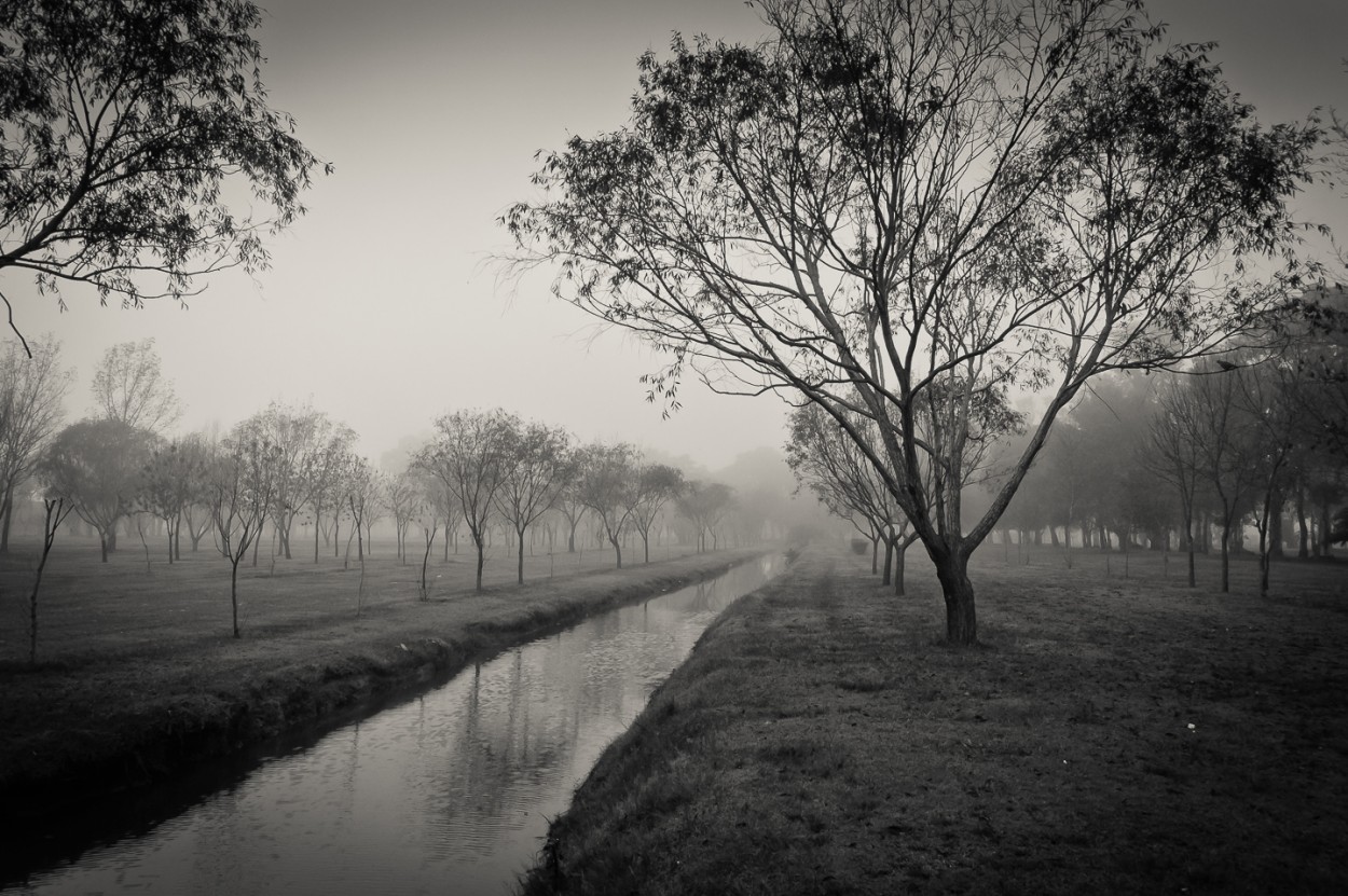 "El canal y la niebla" de Fernando Valdez Vazquez
