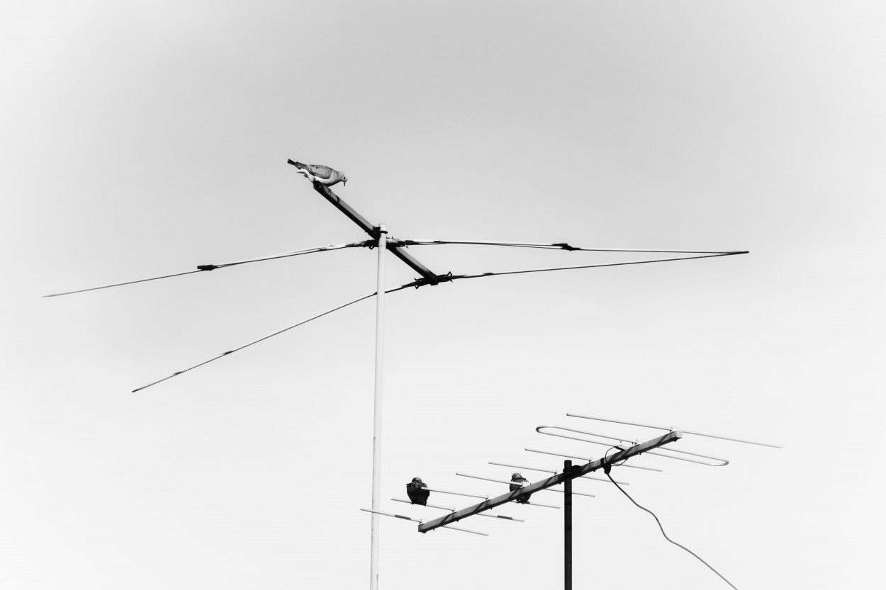 "Conectados..." de Maria Isabel Hempe