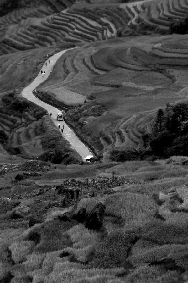 "Camino entre terrazas de arroz." de Francisco Luis Azpiroz Costa
