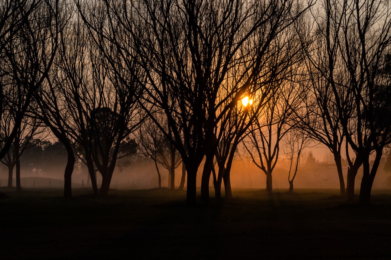"El sol entre la niebla del amanecer" de Fernando Valdez Vazquez
