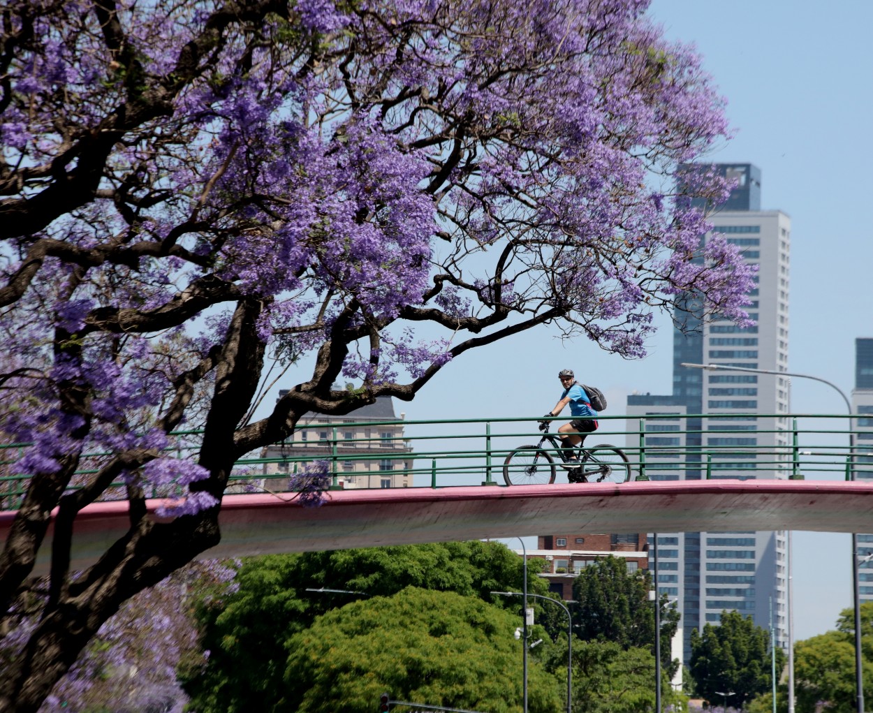 "Ciclista sobre el puente." de Francisco Luis Azpiroz Costa