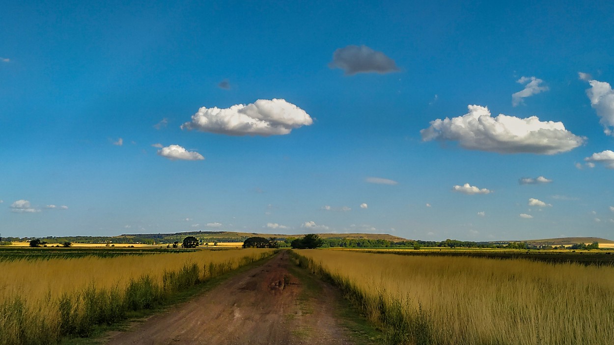 "Camino rural" de Gerardo Saint Martn