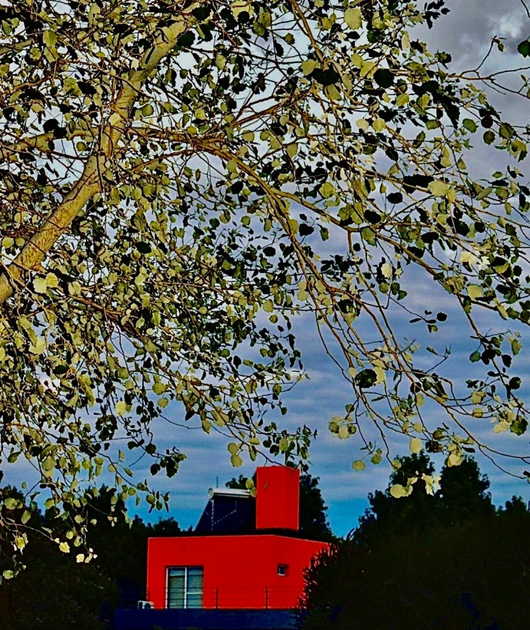"La casa roja" de Karen Gottlieb