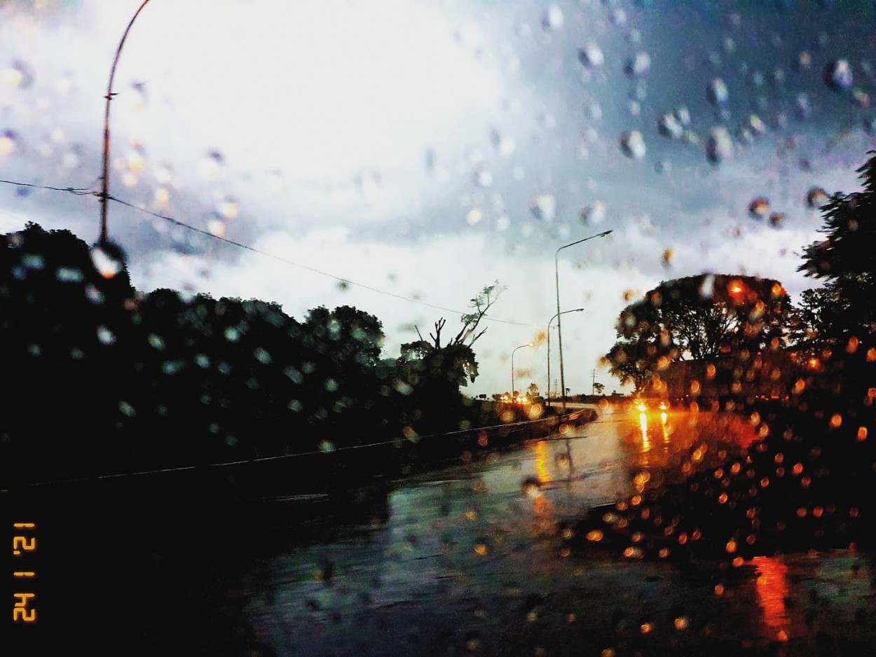 "Dia de lluvia" de Ariana Scherich