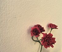 As mini ` Red roses `