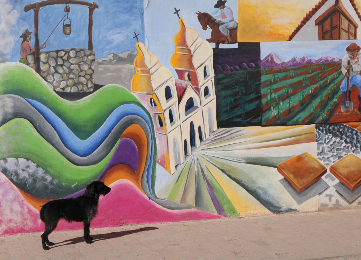 "Perro y Mural" de Rubn Alejandro Yonzo