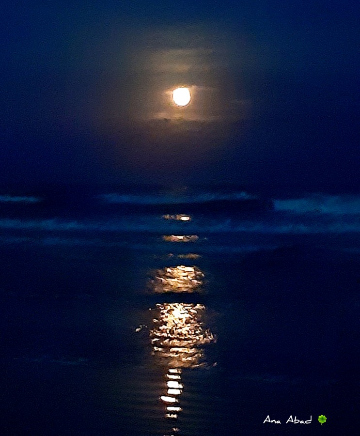 "Luz de luna sobre el mar" de Analia Abad