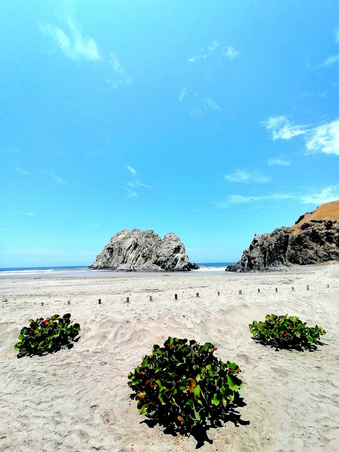 "Playa Bolsillo" de Jos Luis Quiroga Becerra