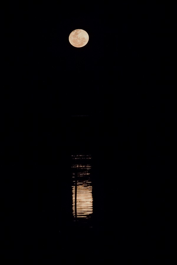 "La luna se esta peinando en el espejo del rio" de Susana Garcia Hillcoat
