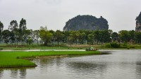 Turistas en el arrozal